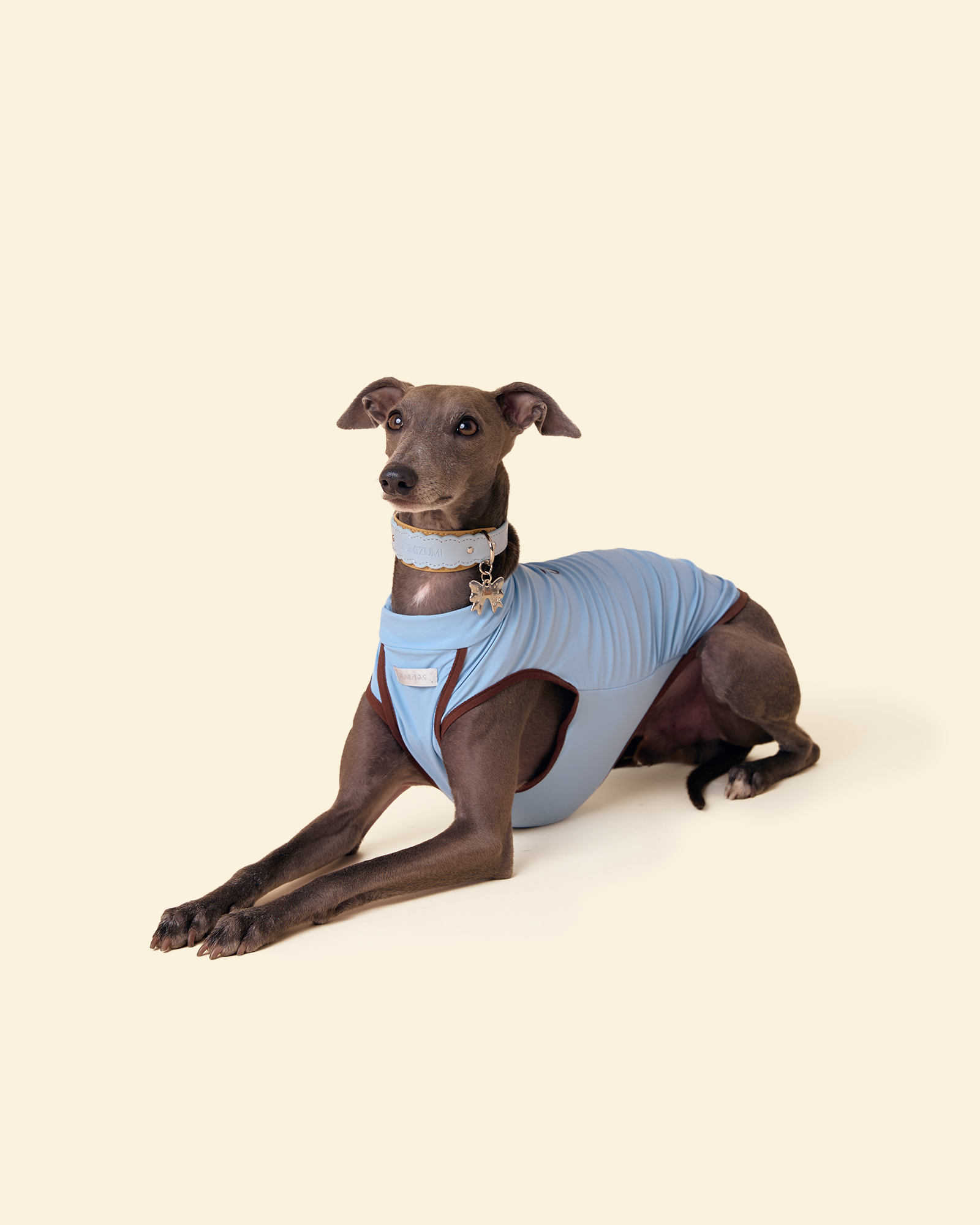 Sunblock Cooling Tee -- Blue/Brown