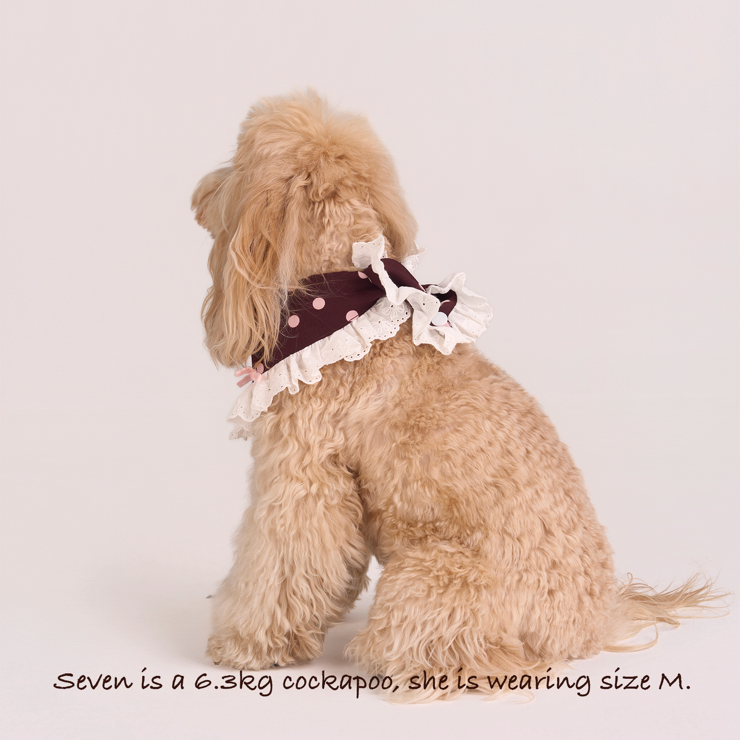 Polka Dot Bandana -- Burgundy/Pink