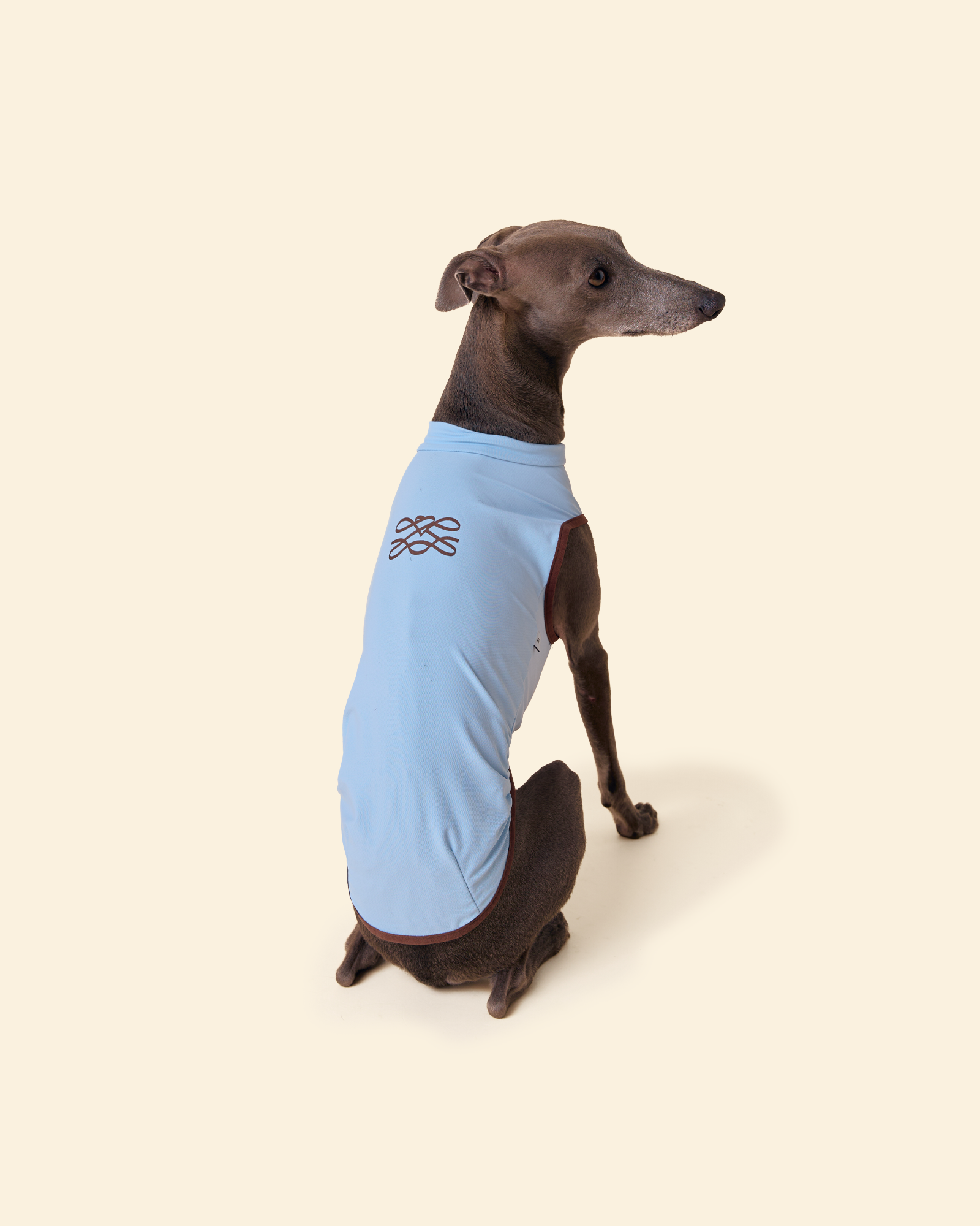 Sunblock Cooling Tee -- Blue/Brown
