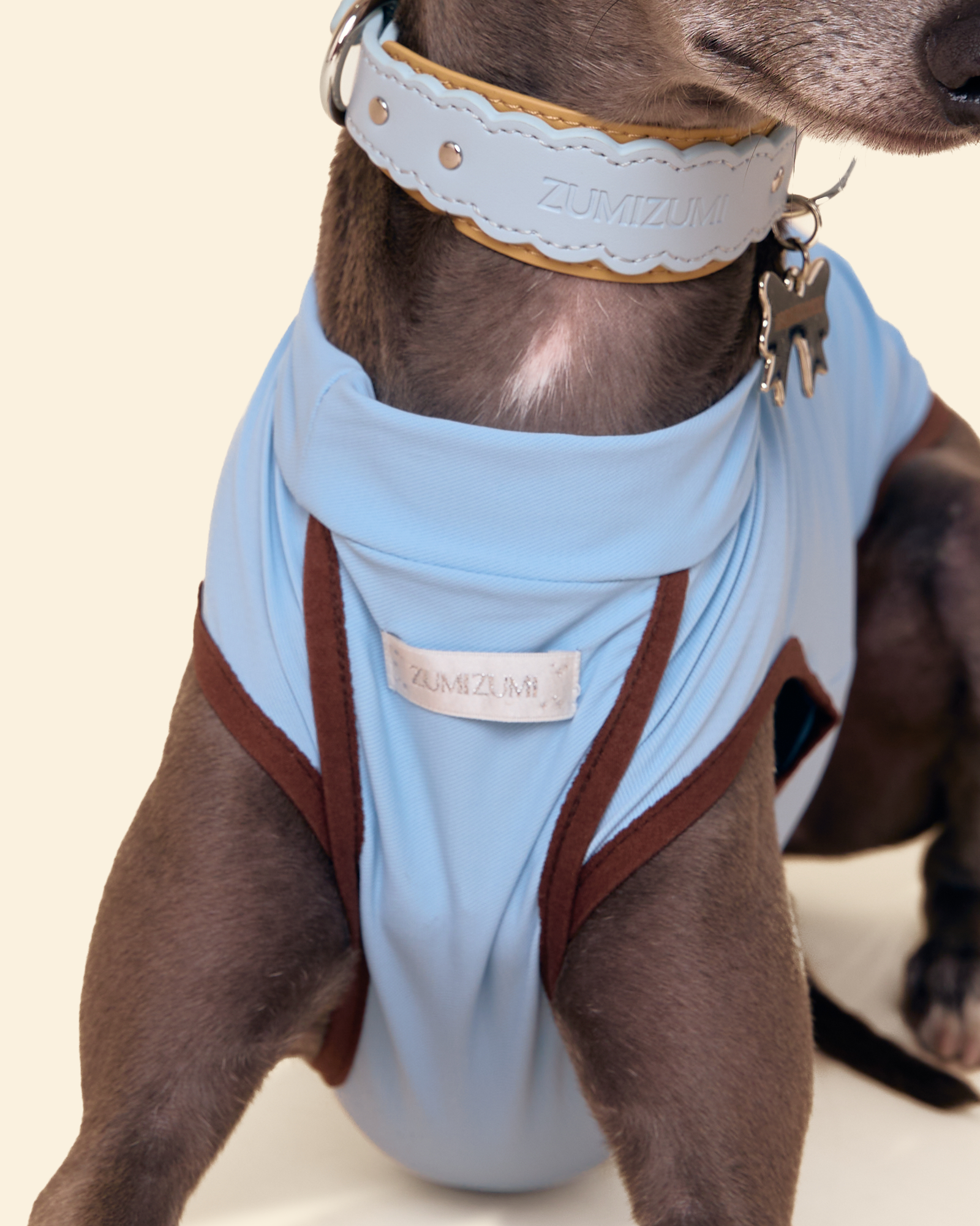 Sunblock Cooling Tee -- Blue/Brown