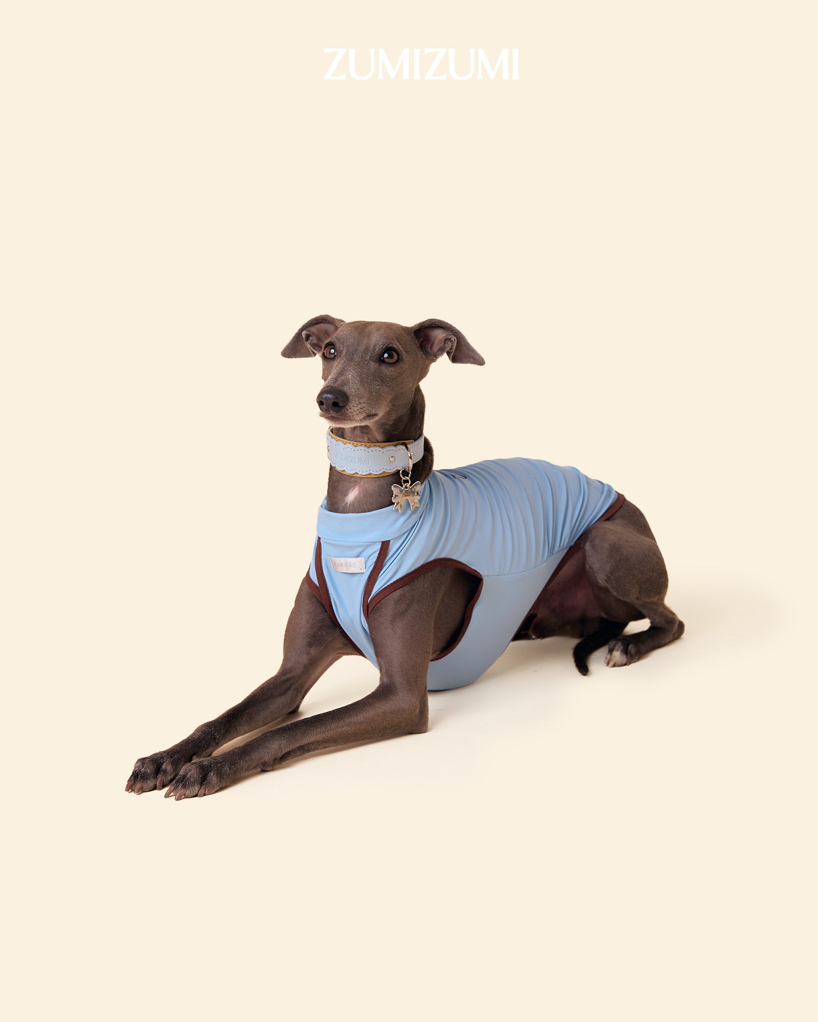 ZUMIZUMI Sunblock Cooling Dog Tee: UPF 50+ & Tick Defense - Blue&Brown