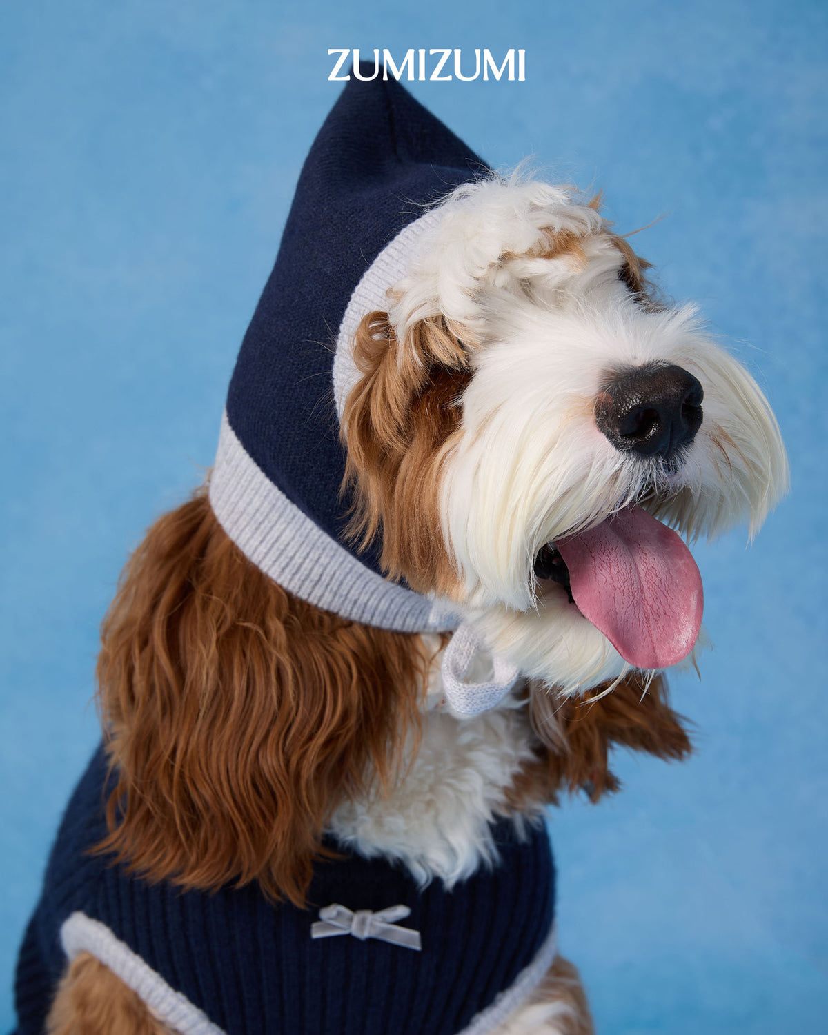 Balaclava -- Navy/Grey