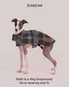 Detective Cape Jacket -- Blue/Grey
