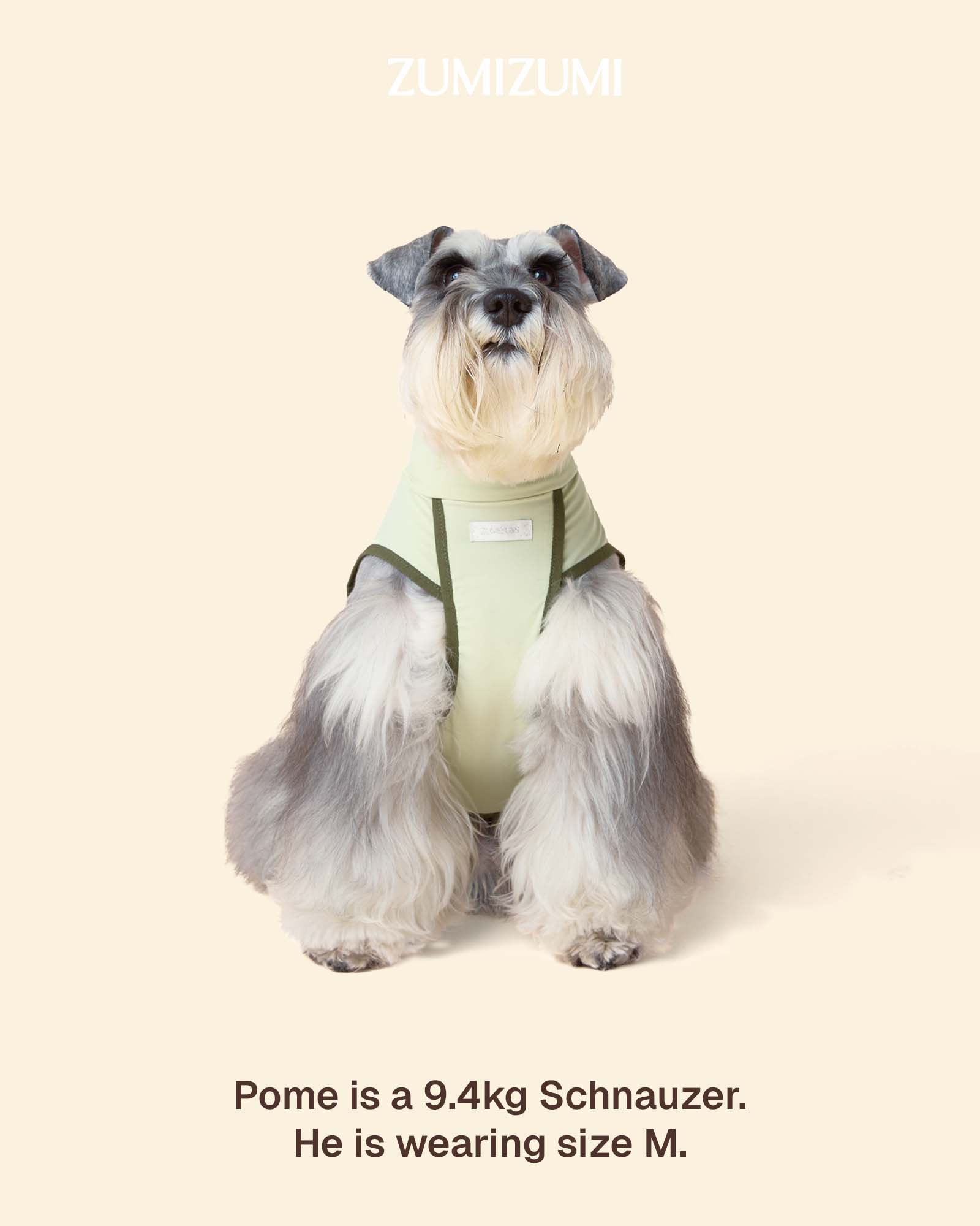 ZUMIZUMI Sunblock Cooling Dog Tee: UPF 50+ & Tick Defense - Blue&Brown