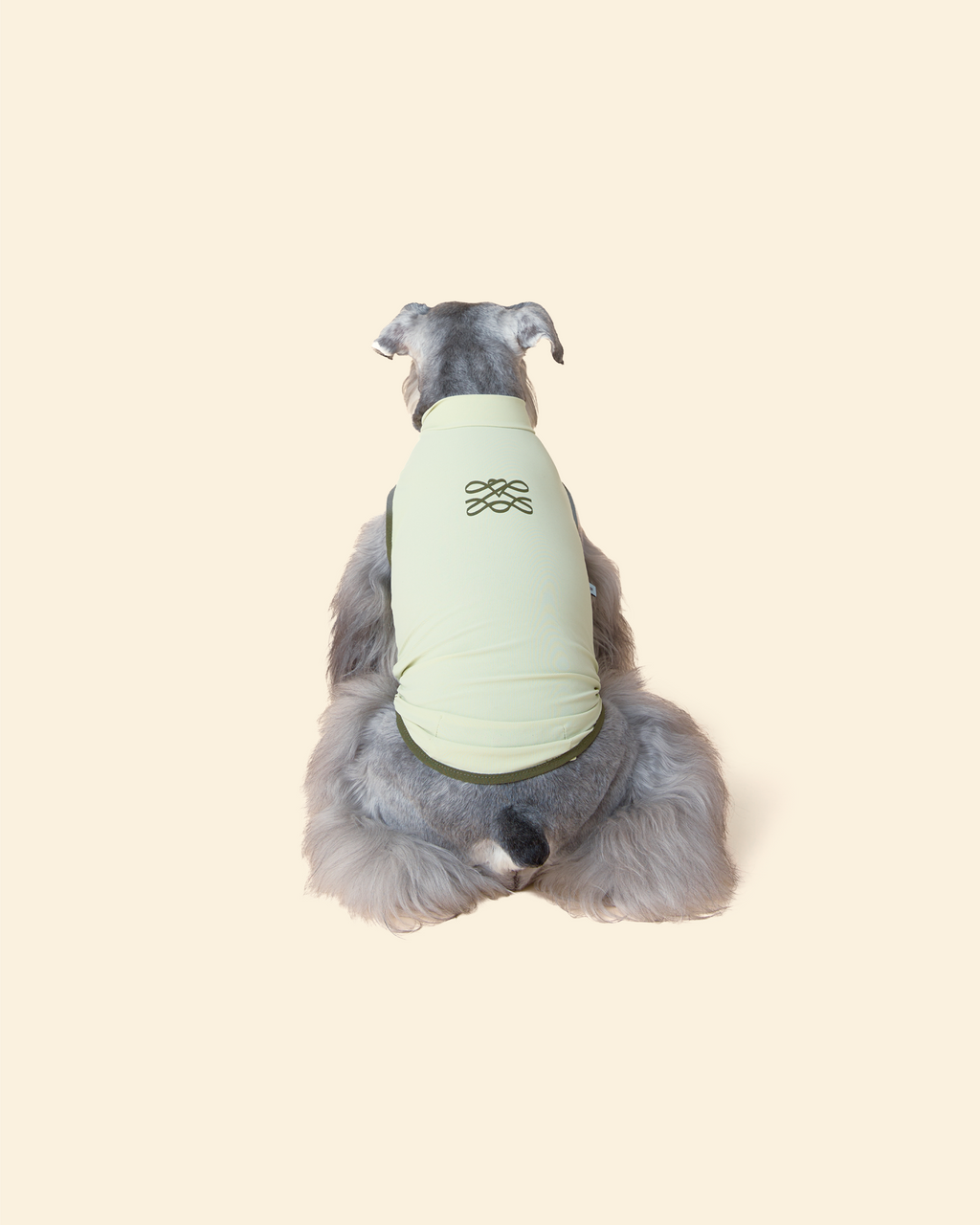 Sunblock Cooling Tee -- Matcha Green