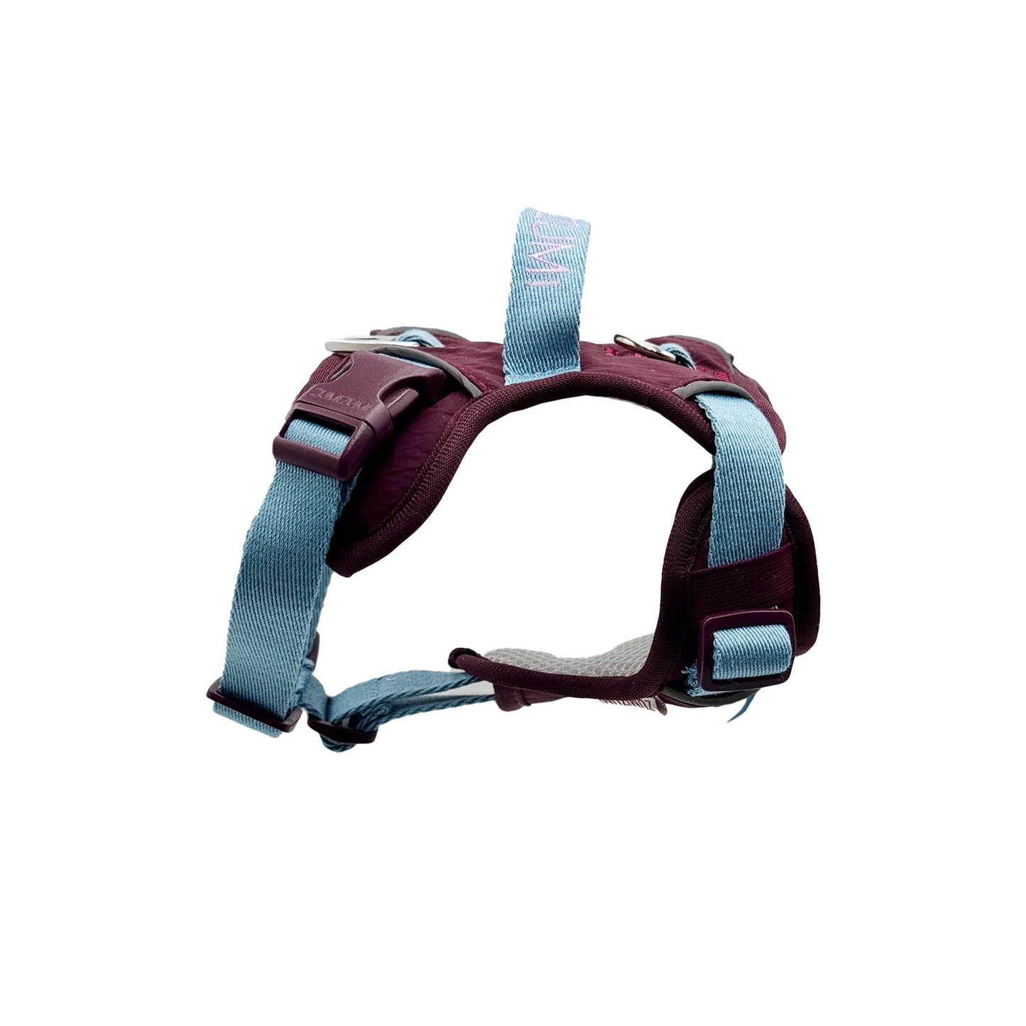 Chelsea Cherry Pie Harness--Burgundy/ Teal