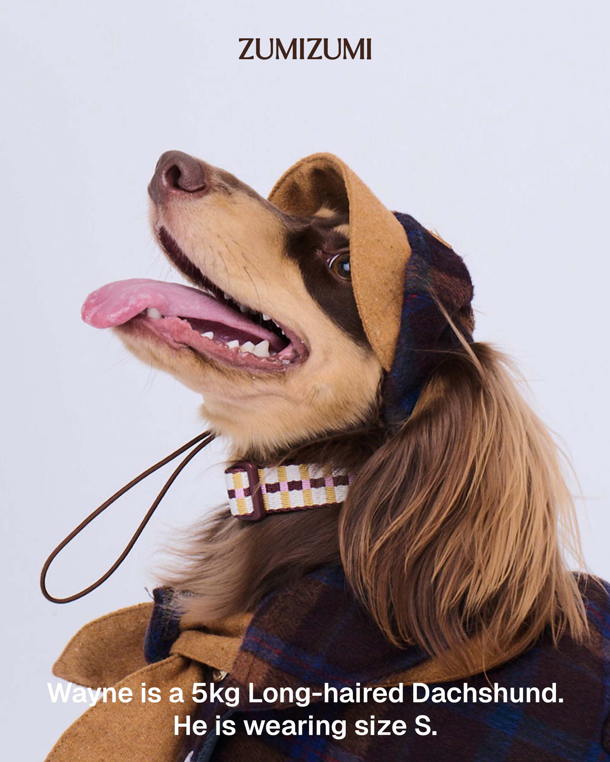 Detective Cap -- Chestnut/Ginger