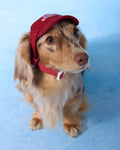 Cap -- Red