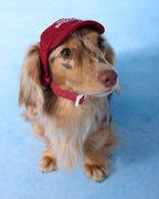 Cap -- Red