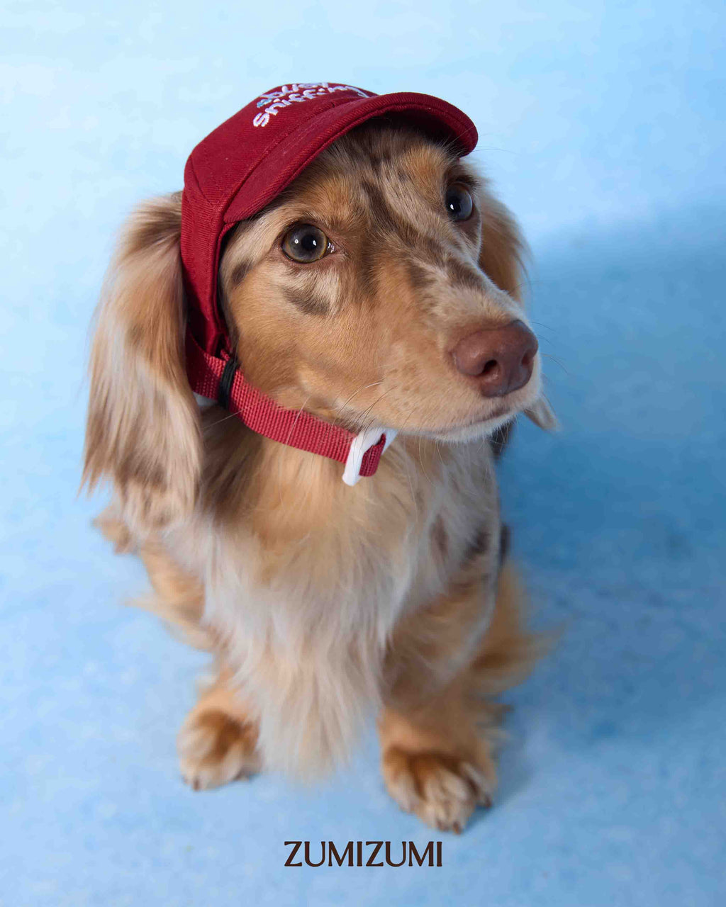 Cap -- Red