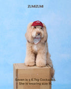 Cap -- Red