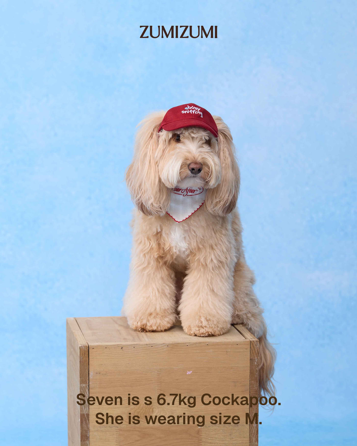 Cap -- Red
