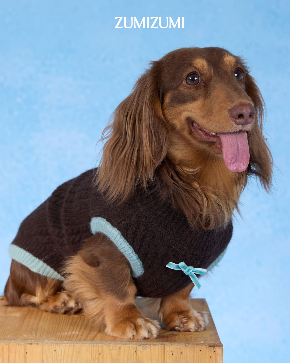 Knit Vest 2.0 -- Brown/Mint