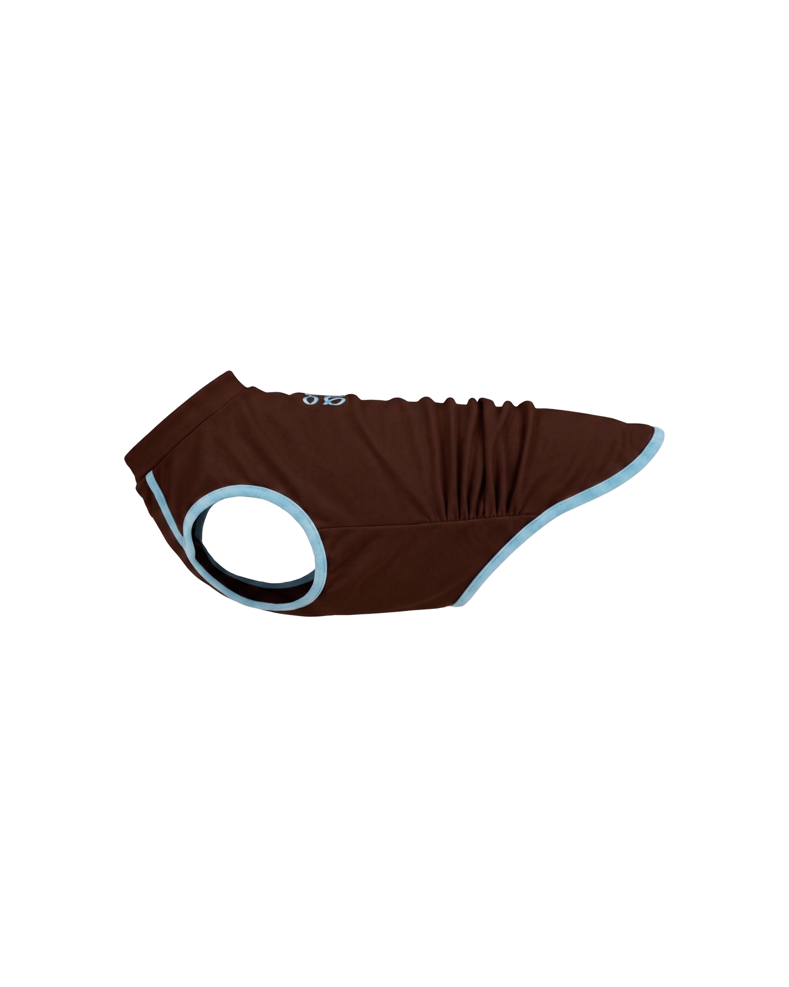 Sunblock Cooling Tee -- Brown/Blue