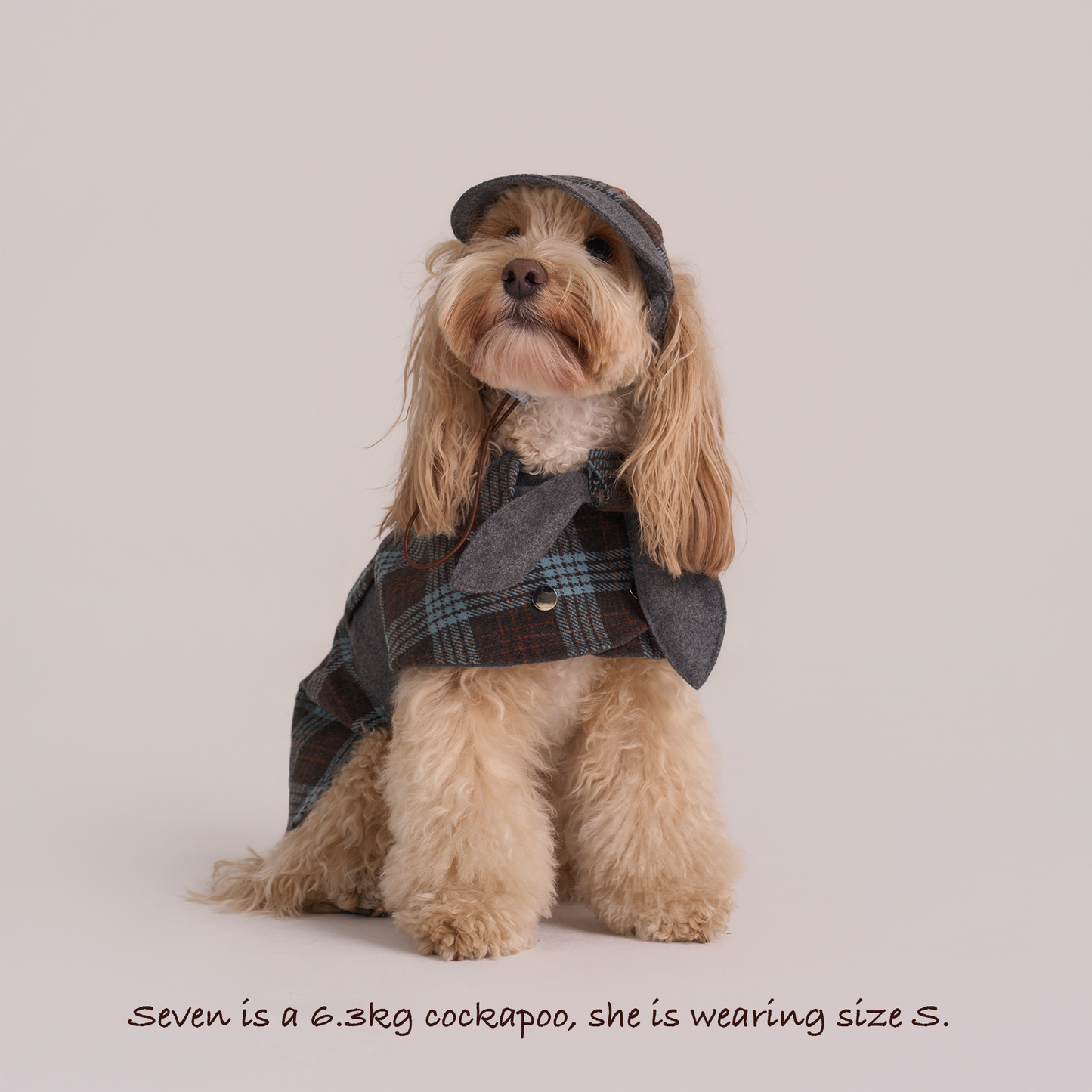 Sherlock Warm Plaid Jacket --Blue/Grey