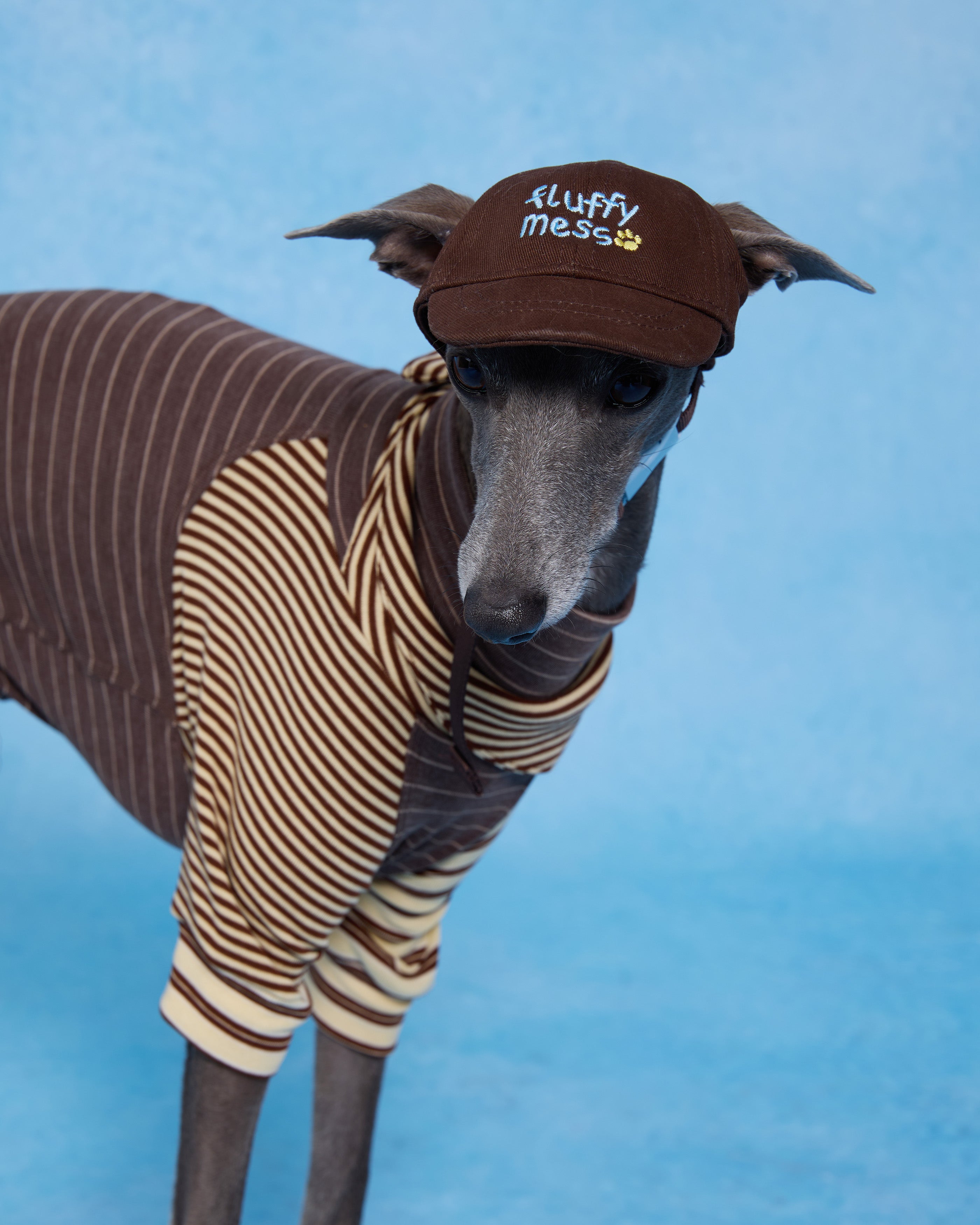 Cap -- Brown