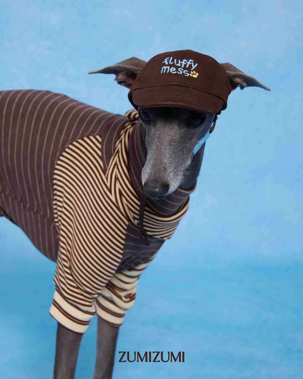 Cap -- Brown