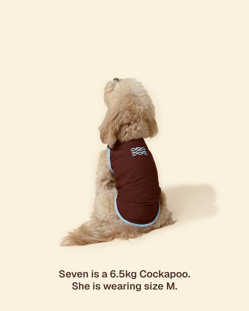 Sunblock Cooling Tee -- Brown/Blue