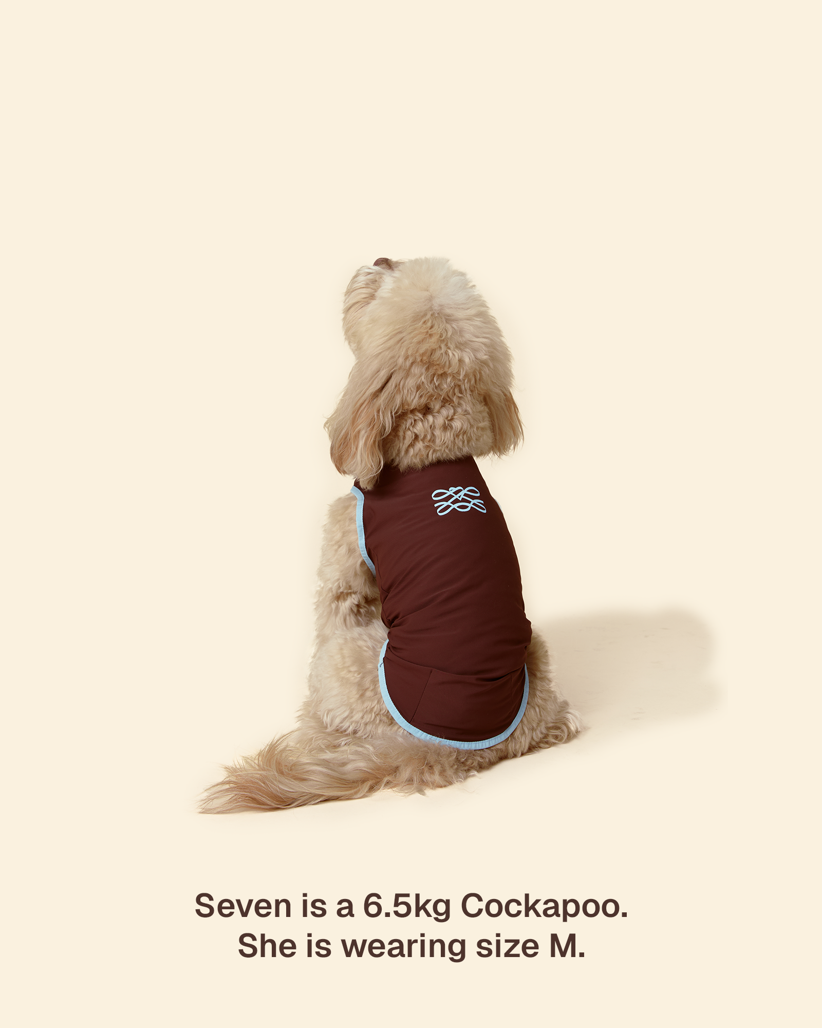 Sunblock Cooling Tee -- Brown/Blue