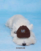 Cap -- Brown