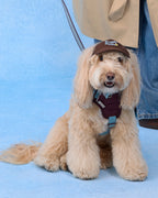 Casquette gavroche à carreaux Sherlock -- Marron/Beige 