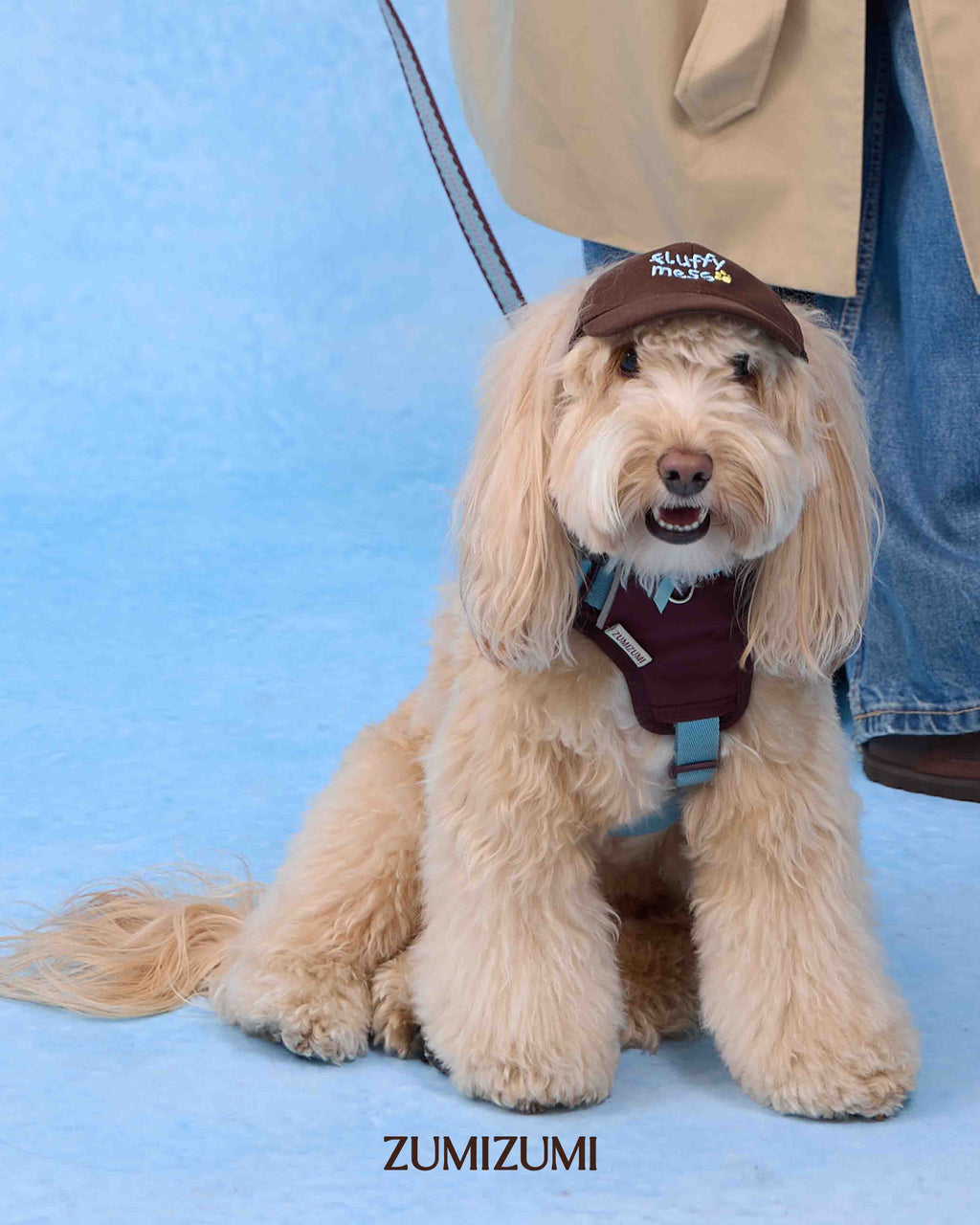 Cap -- Brown