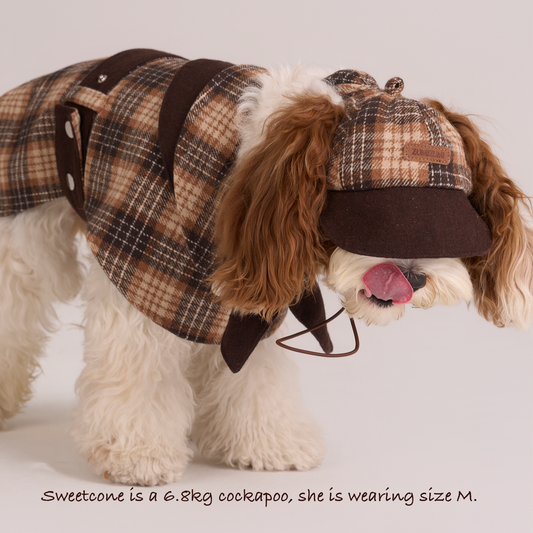 Sherlock Plaid Newsboy Cap --Brown/Beige