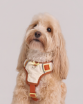 Harness--Beige/Dusty Orange