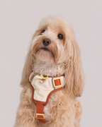 Harness--Beige/Dusty Orange