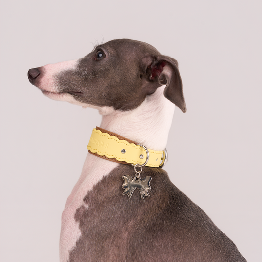 Mayfair Scalloped Leather Collar -- Yellow/Brown