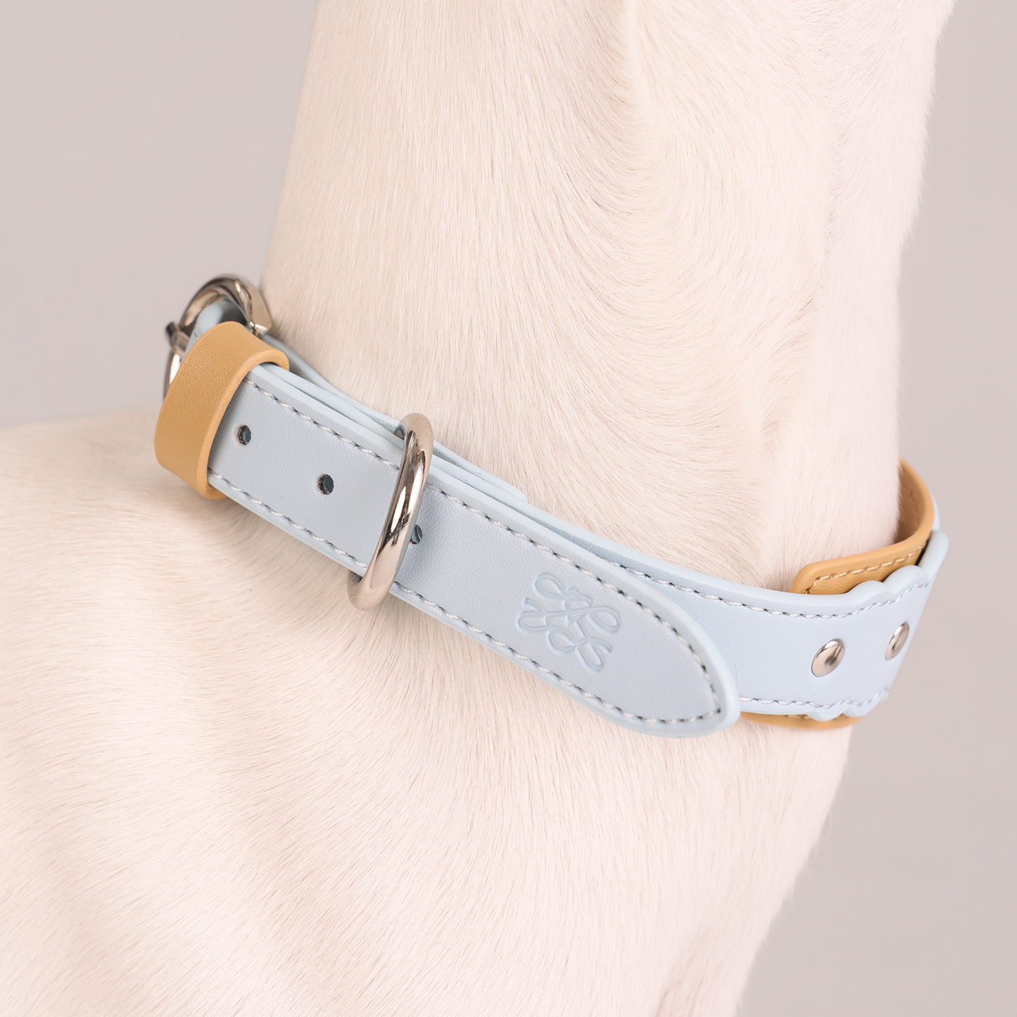 Mayfair Scalloped Leather Collar -- Blue/Brown