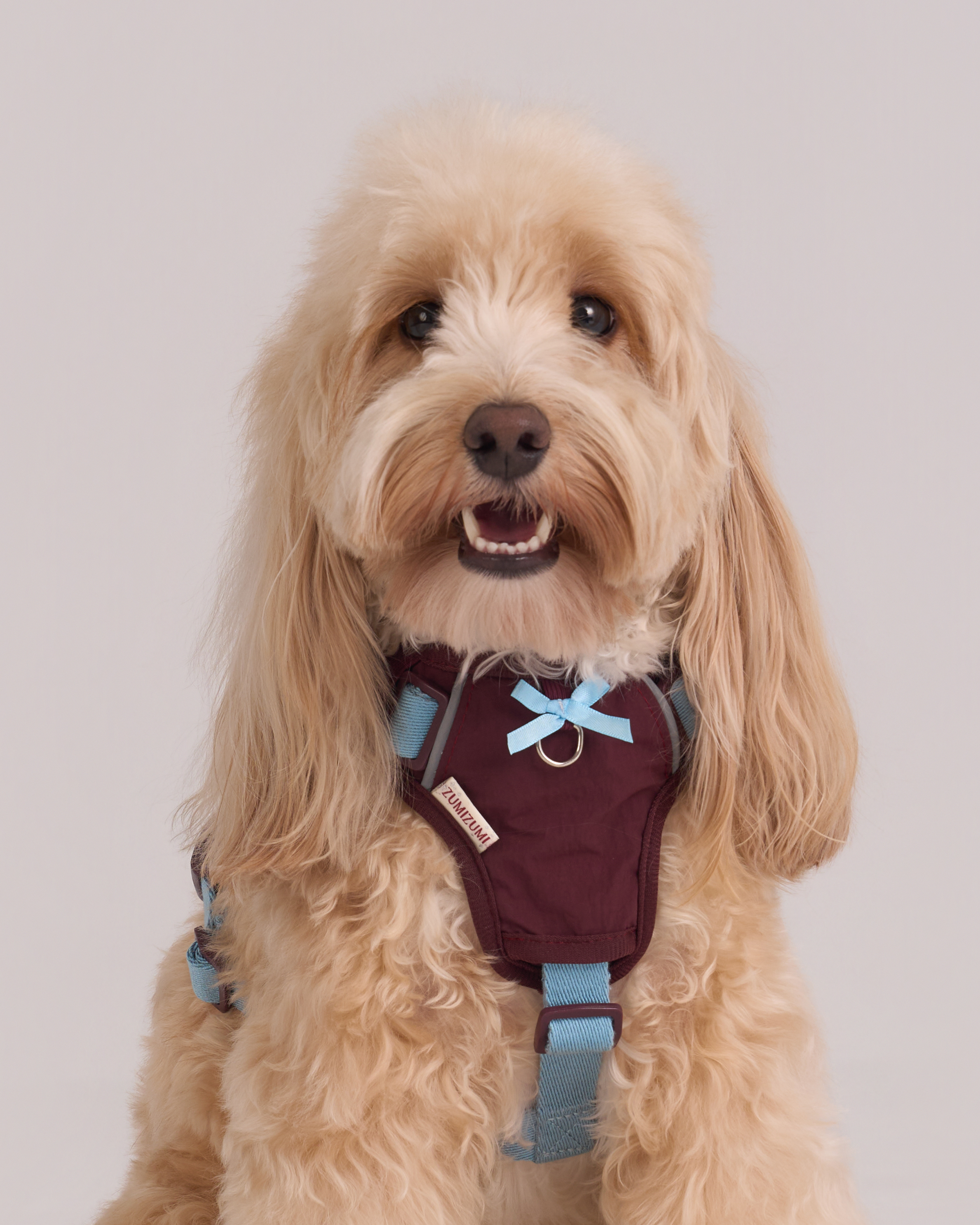 Chelsea Cherry Pie Step in Harness – Bordeaux/Turquoise 
