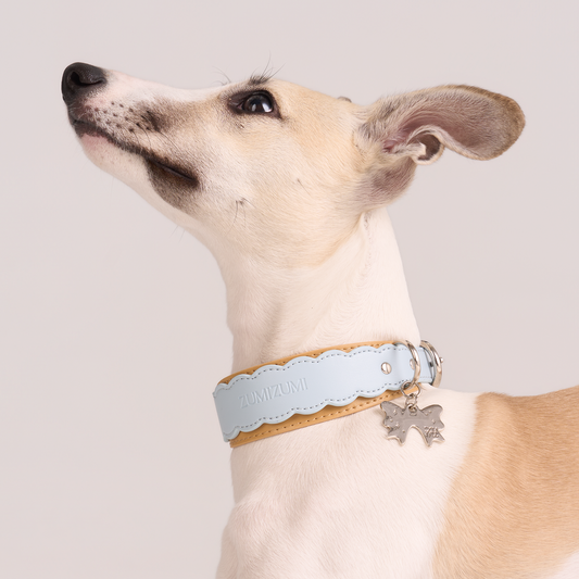 Mayfair Scalloped Leather Collar -- Blue/Brown