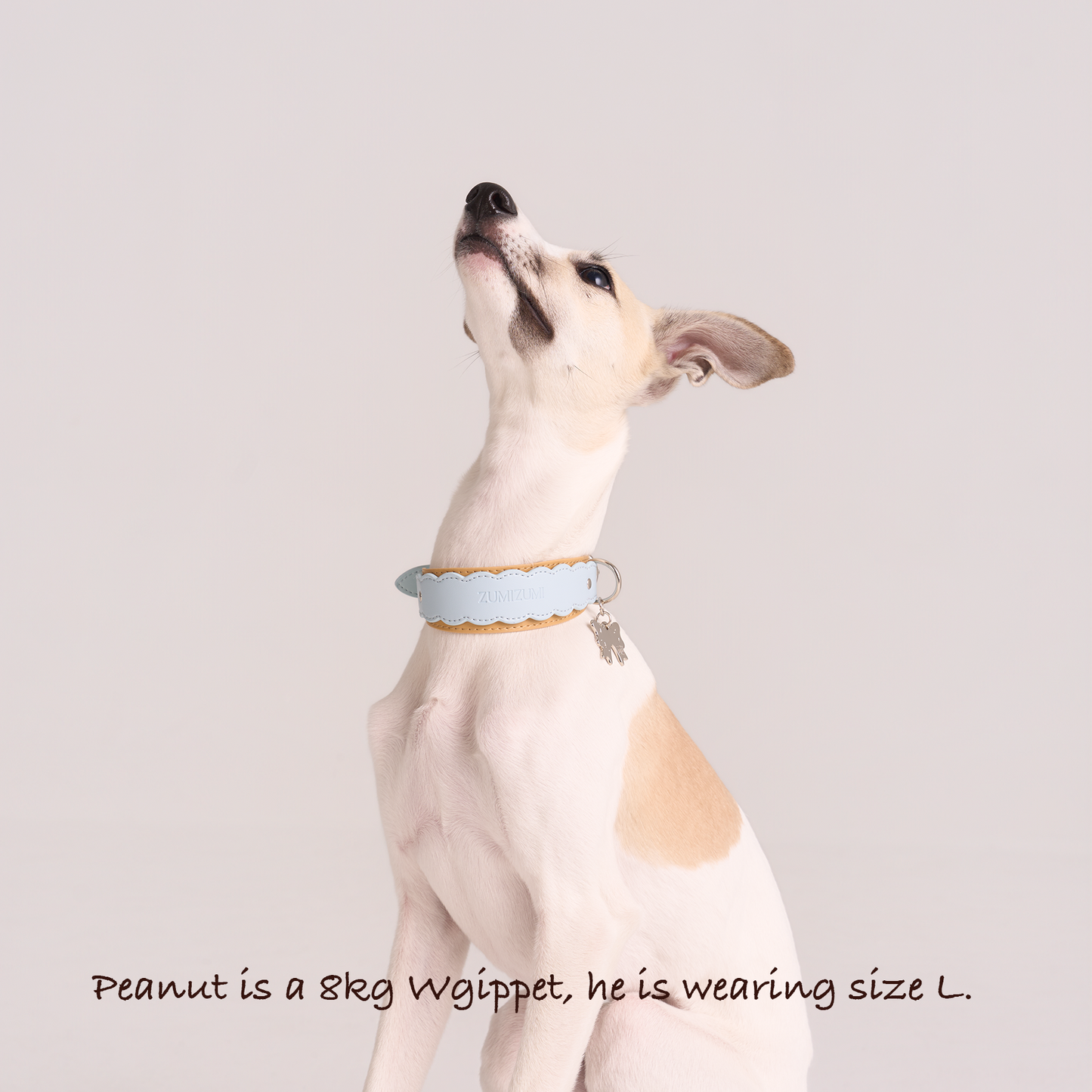 Mayfair Scalloped Leather Collar -- Blue/Brown