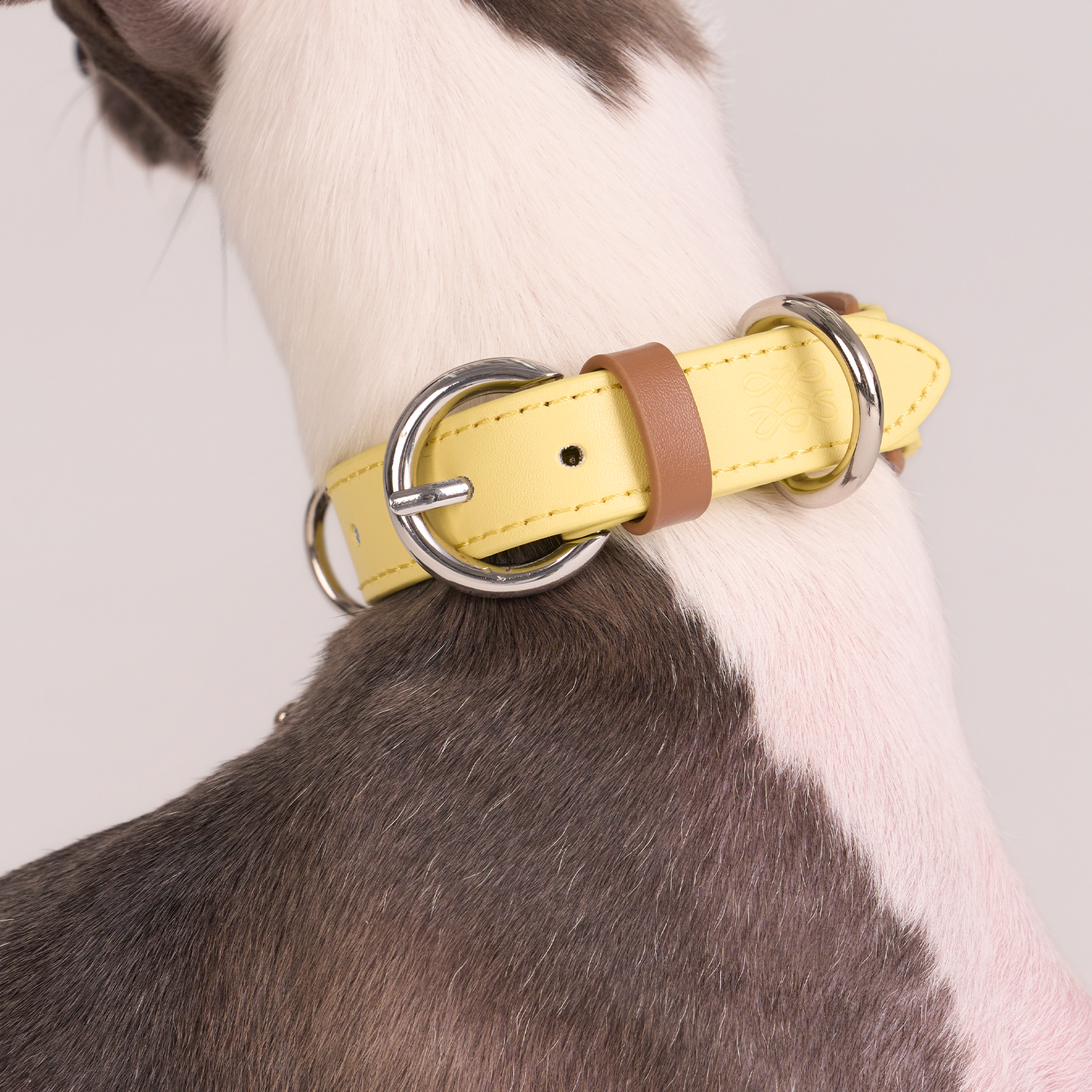 Mayfair Scalloped Leather Collar -- Yellow/Brown