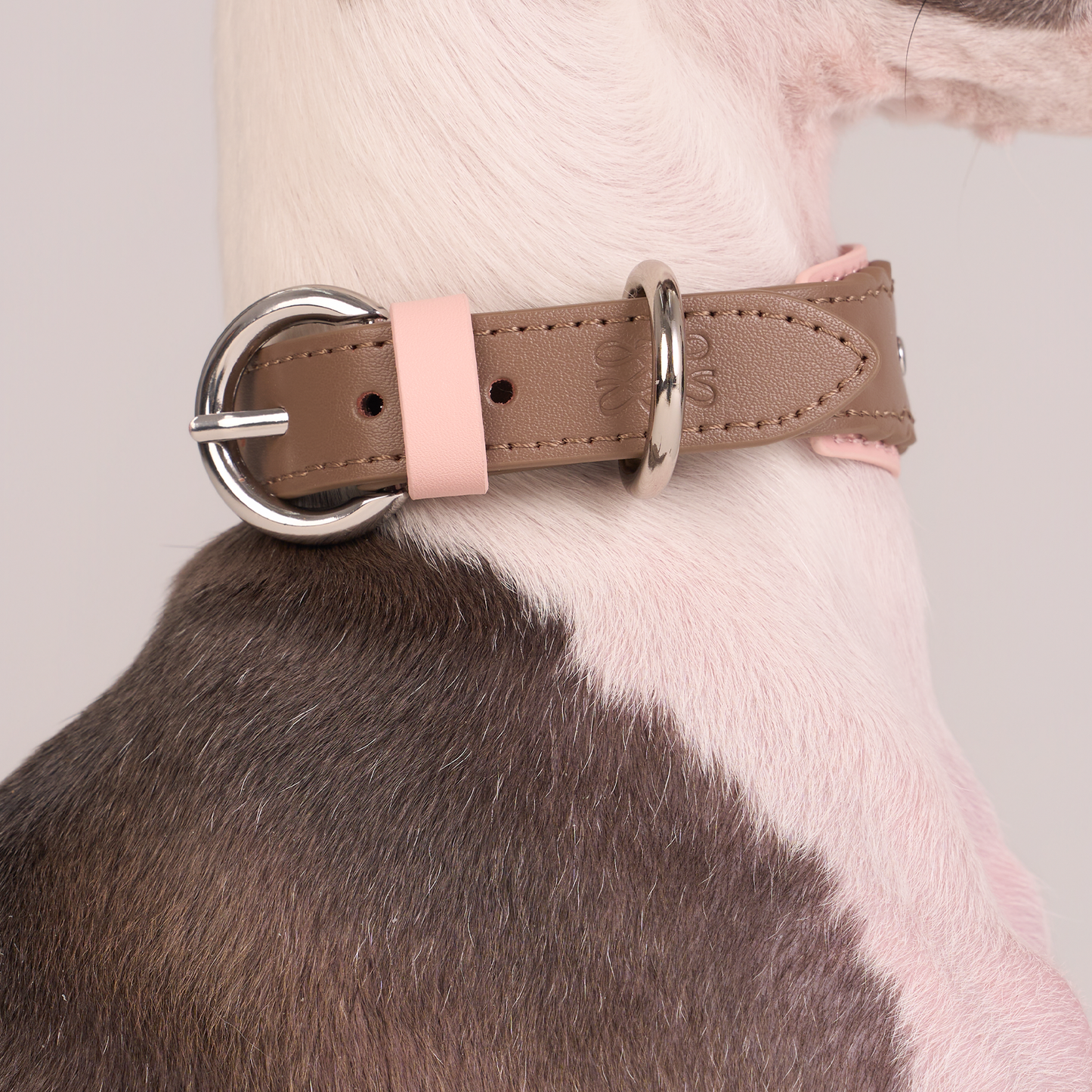 Mayfair Scalloped Leather Collar -- Brown/Pink