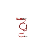 Hands-free Leash -- Red Gingham
