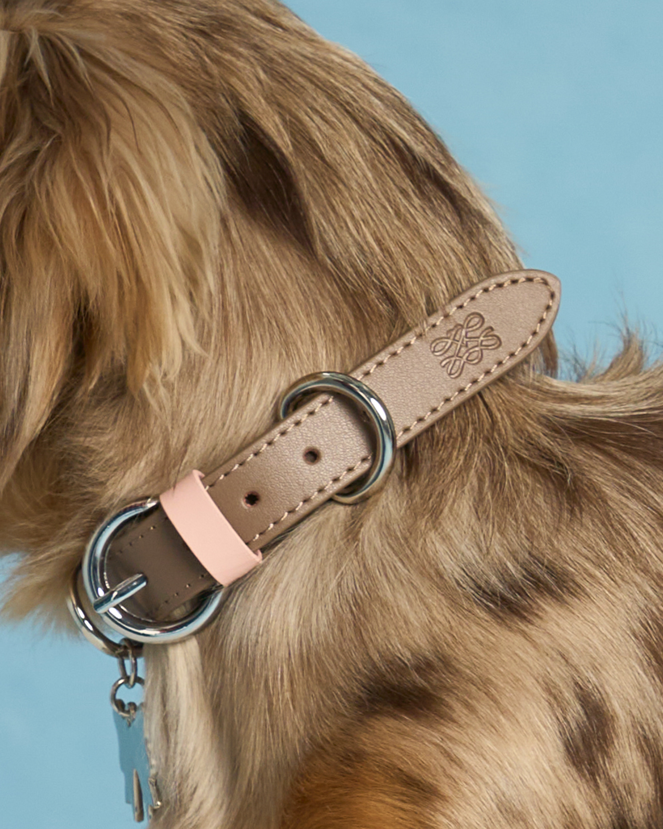 Collier en cuir festonné Mayfair -- Marron/Rose