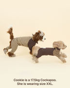 Onesie -- Yellow/Brown