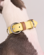 Collier en cuir festonné Mayfair -- Jaune/Marron
