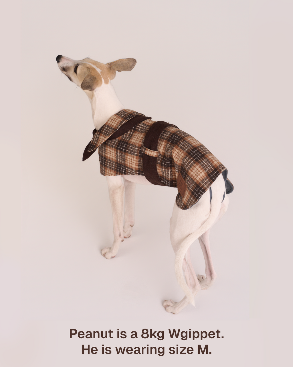 Detective Cape Jacket -- Brown/Beige