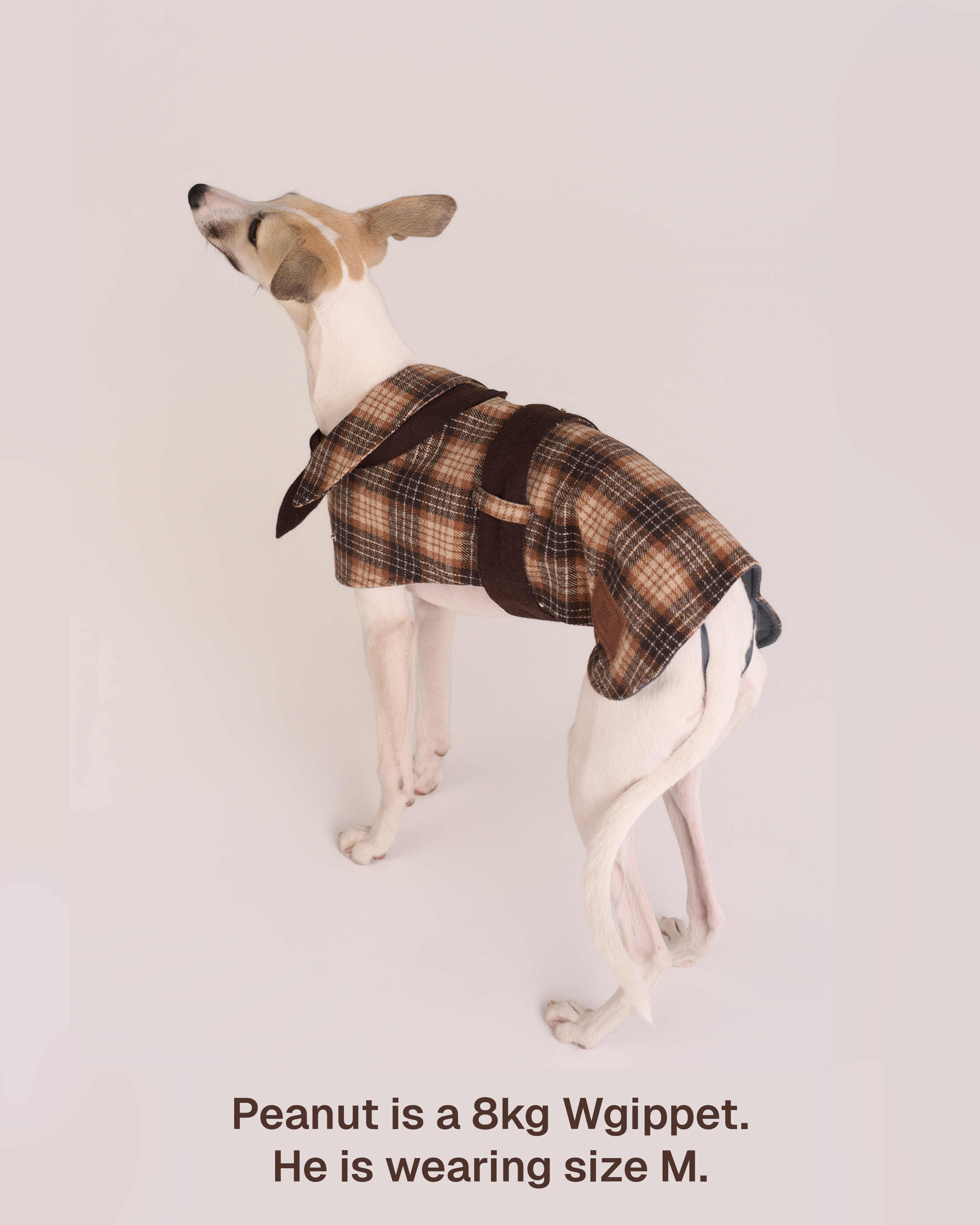 Detective Cape Jacket -- Brown/Beige