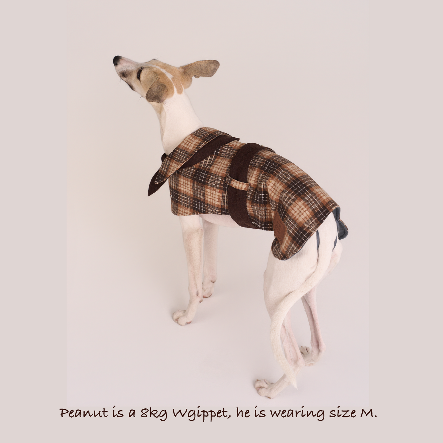 Sherlock Warm Plaid Jacket --Brown/Beige
