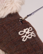 Knit Vest -- Brown/Light Blue