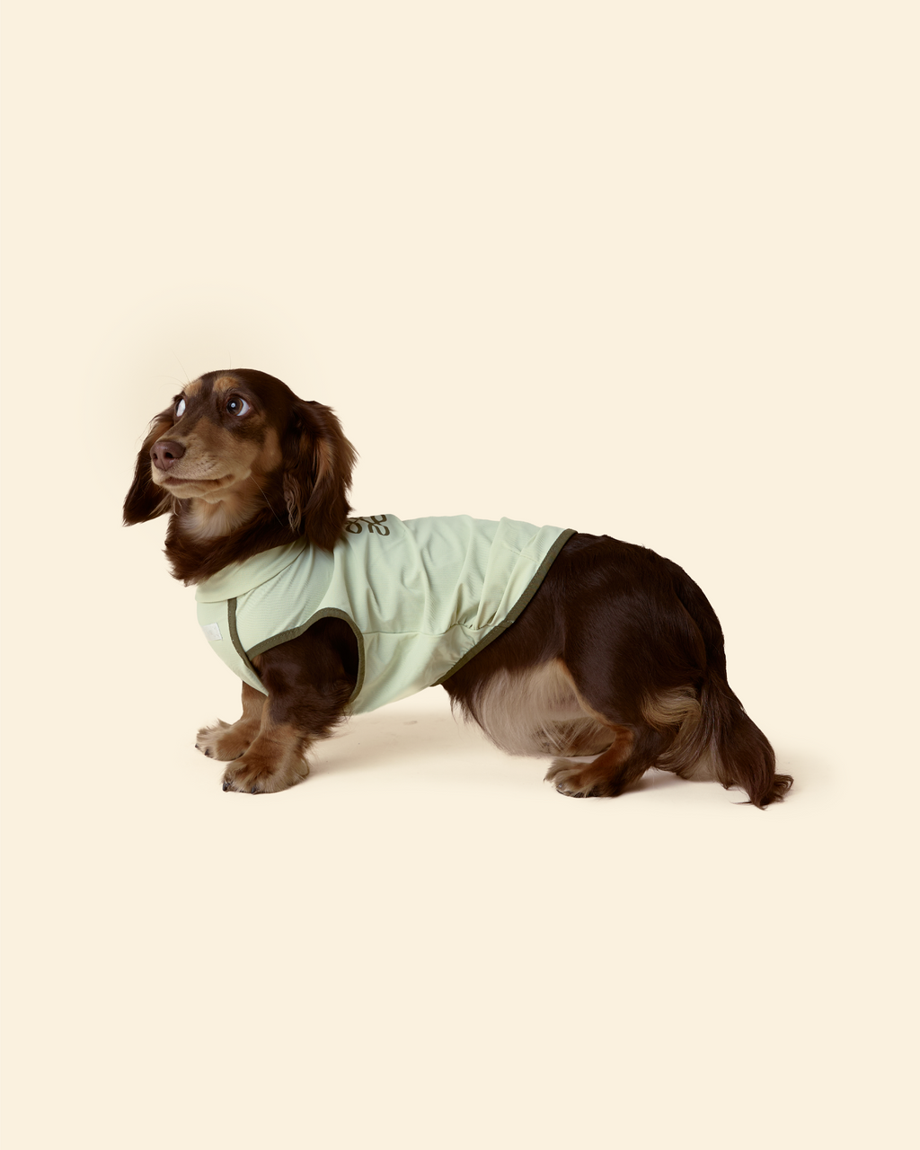 Sunblock Cooling Tee -- Matcha Green