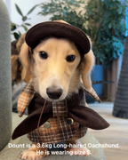 Casquette gavroche à carreaux Sherlock -- Marron/Beige 