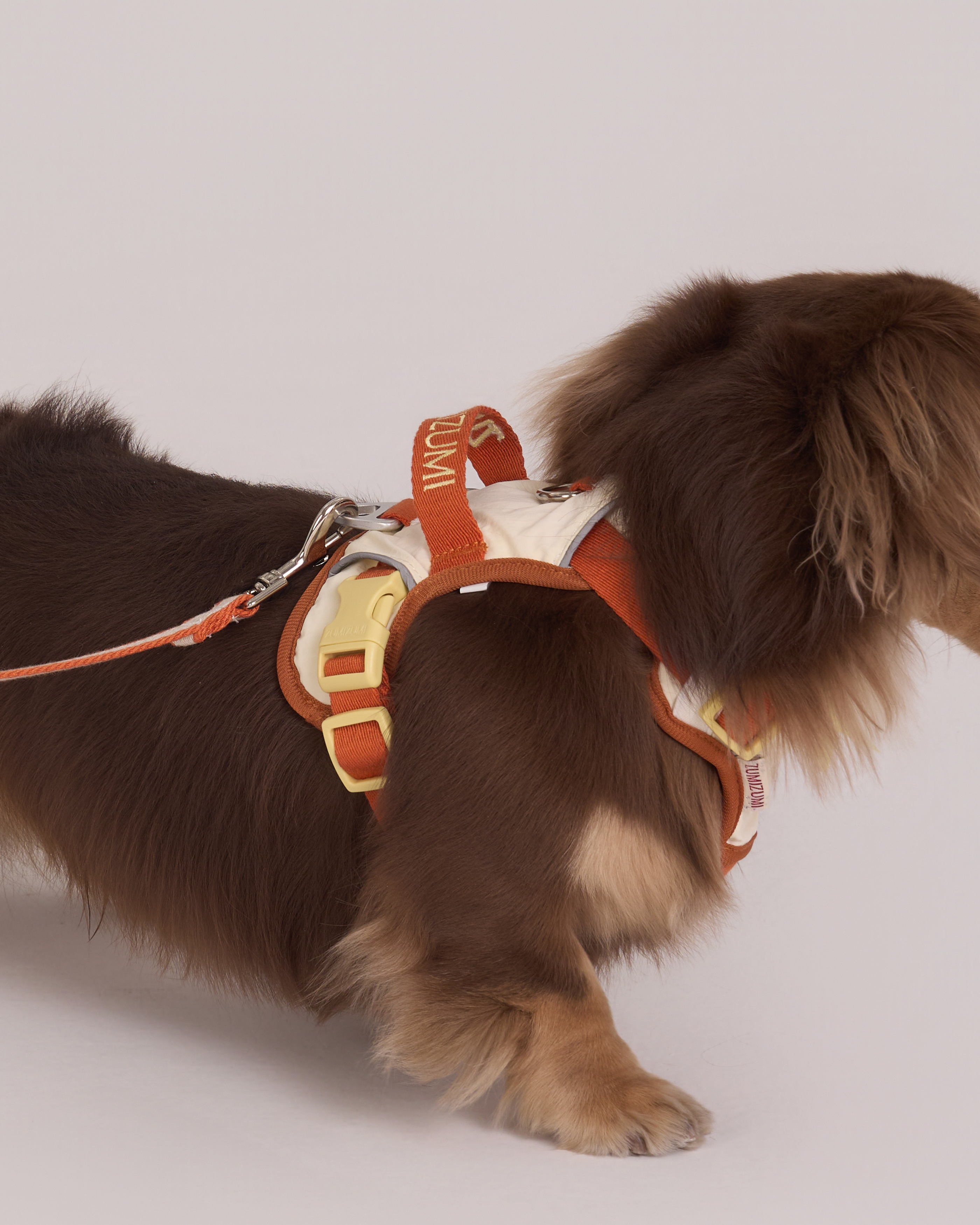Harnais Chelsea Pumpkin Pie – Beige / Orange poussiéreux 