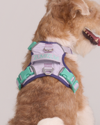 Harness -- Lavender/Navy