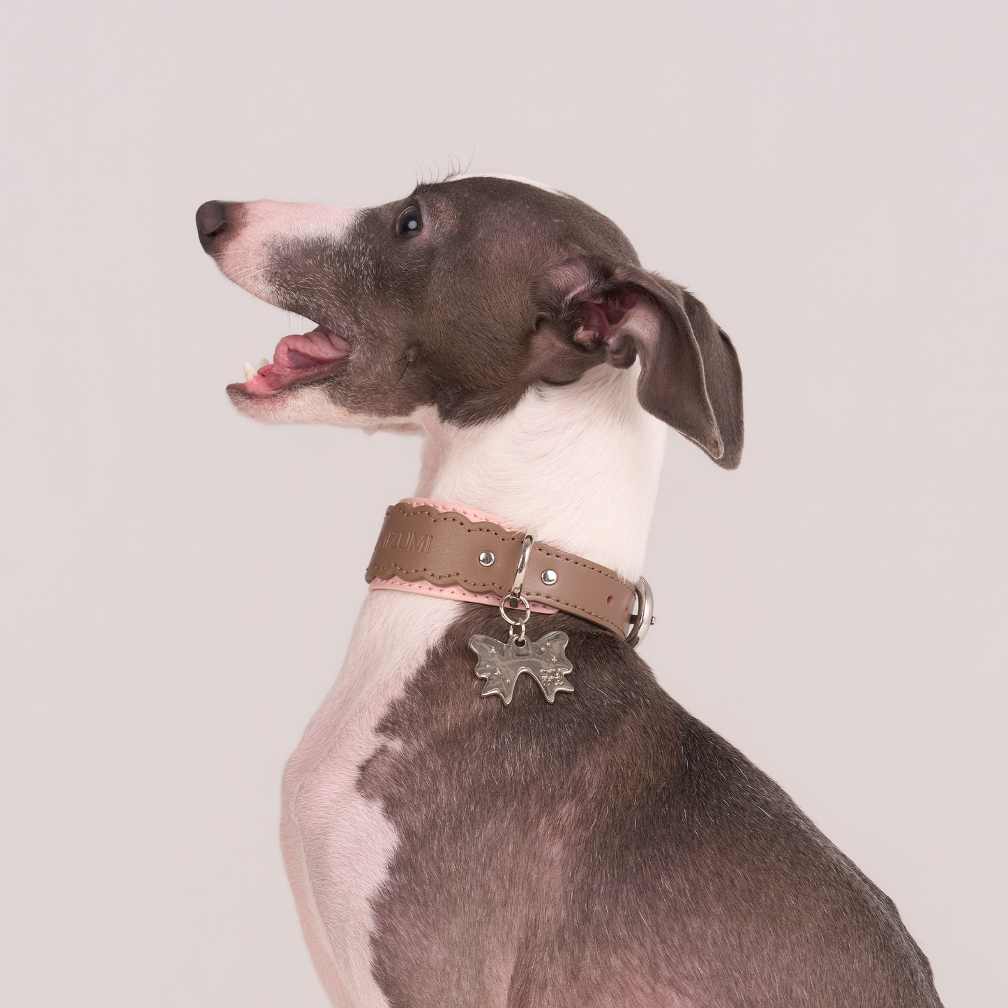 Mayfair Scalloped Leather Collar -- Brown/Pink