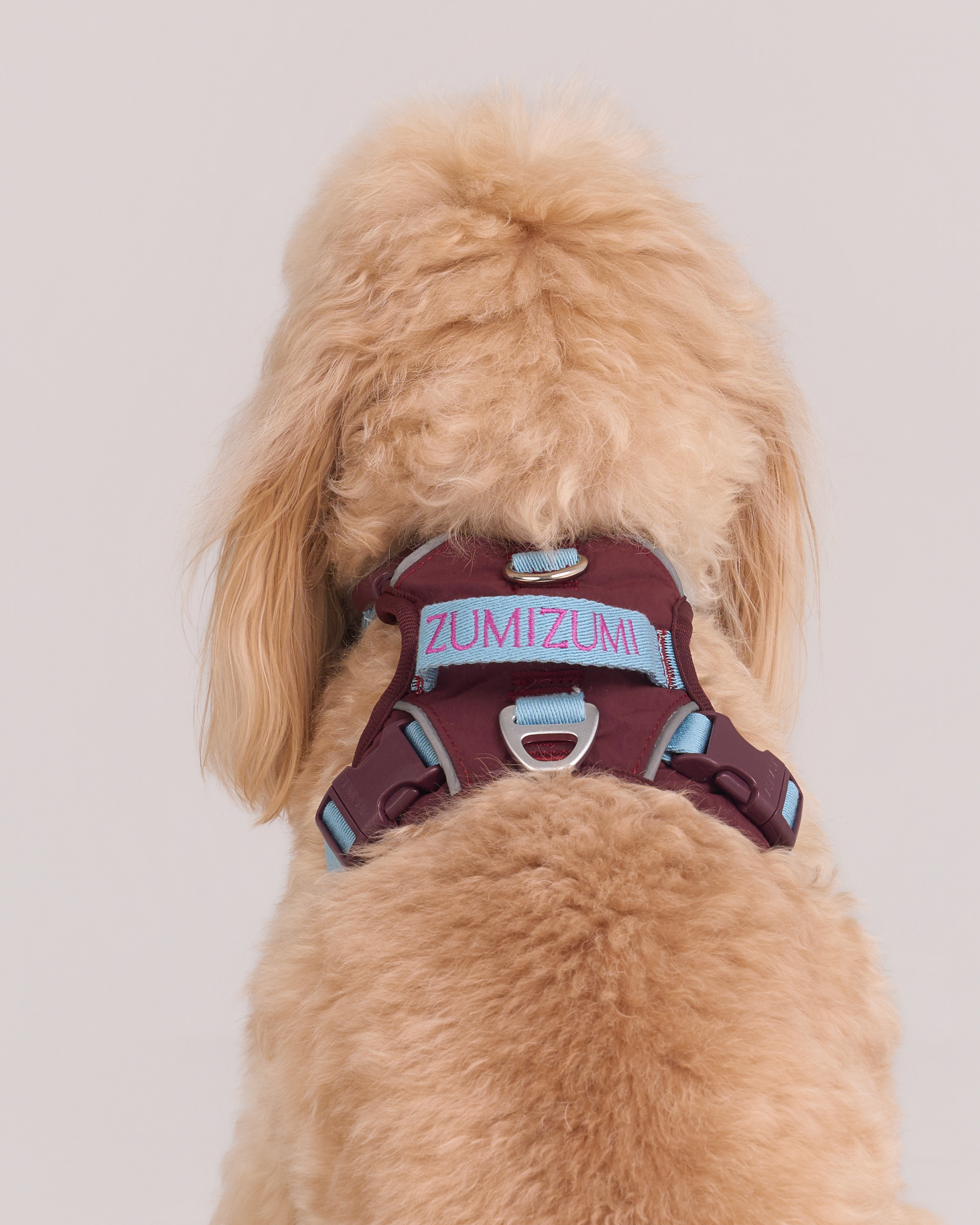 Chelsea Cherry Pie Step in Harness – Bordeaux/Turquoise 